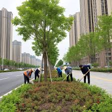 2026美加墨世界杯官网 新疆和田城市绿化工人招聘